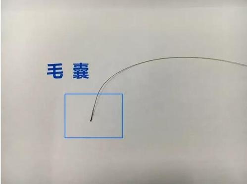 想做個(gè)人親子鑒定，頭發(fā)可以鑒定嗎？
