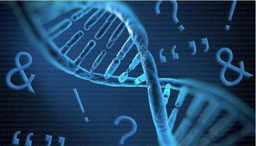 上戶口親子鑒定流程有那些呢？